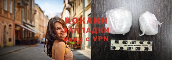 ГАЛЛЮЦИНОГЕННЫЕ ГРИБЫ Гусев