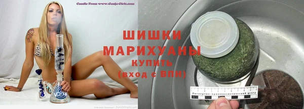 ГАЛЛЮЦИНОГЕННЫЕ ГРИБЫ Гусев