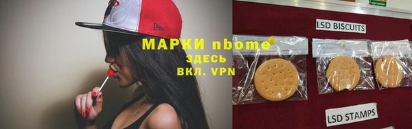 хмурый Гусиноозёрск