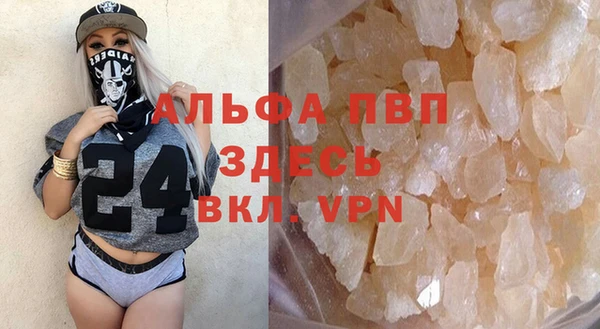 ГАЛЛЮЦИНОГЕННЫЕ ГРИБЫ Гусев