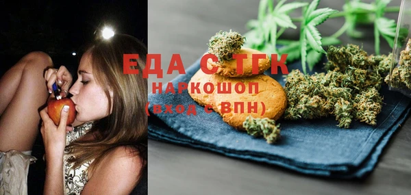 ГАЛЛЮЦИНОГЕННЫЕ ГРИБЫ Гусев