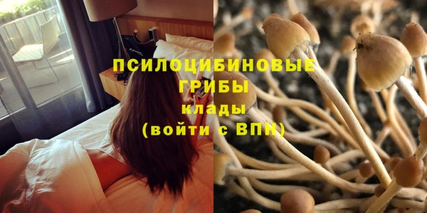 хмурый Гусиноозёрск
