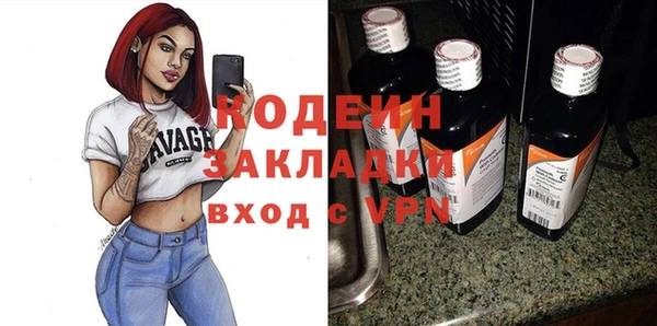 ГАЛЛЮЦИНОГЕННЫЕ ГРИБЫ Гусев