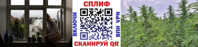 Марихуана планчик  ссылка на мегу зеркало  Кызыл 
